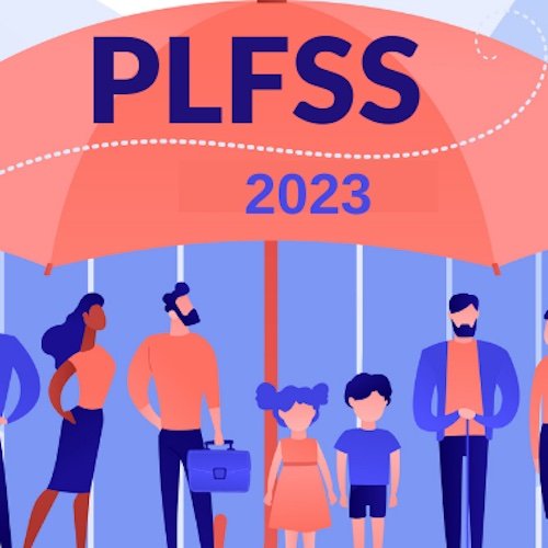 News - PLFSS: a final 49-3 committed in final reading in the Assembly